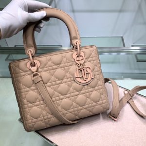 Kaufen 1 Lady Dior Tasche