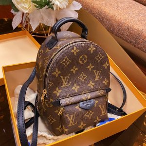 Kaufen Louis Vuitton PALM SPRINGS MINI Tasche